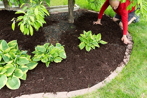 paysagiste entrain de planter des fleurs